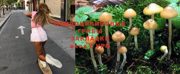 синтетический гашиш Вяземский