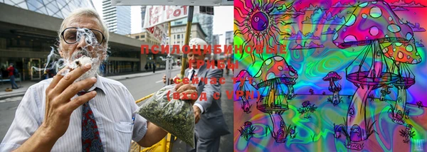 шишки Вязники