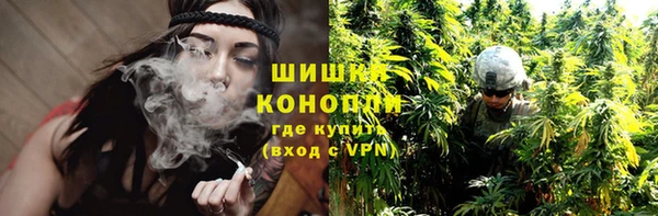 шишки Вязьма