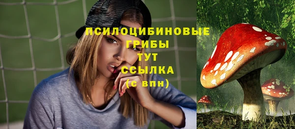 синтетический гашиш Вяземский