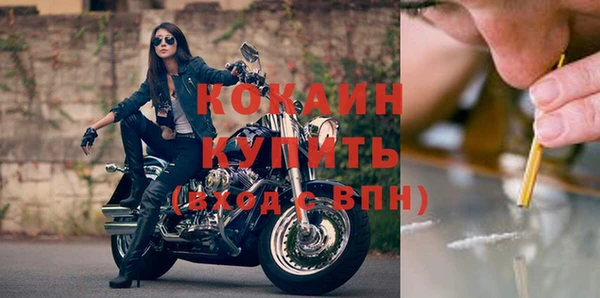 шишки Вязьма