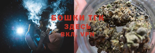 шишки Вязьма