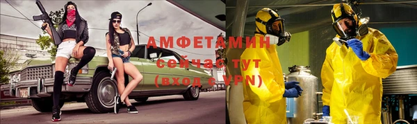 шишки Вязники