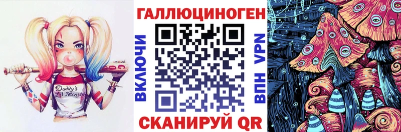Галлюциногенные грибы Psilocybe  Купить  Минеральные Воды 